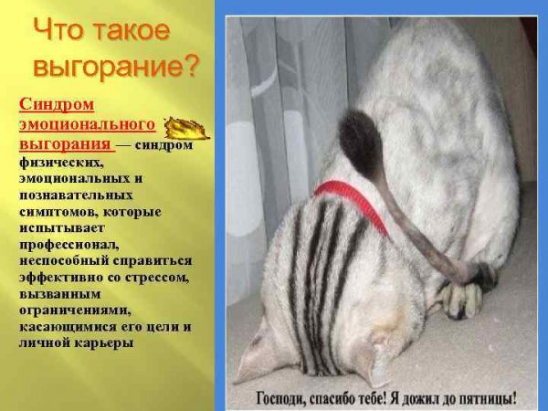 Я дожил до пятницы