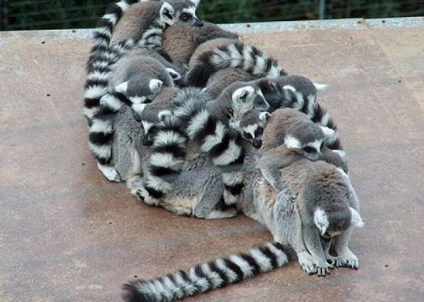 Корпоратив удался