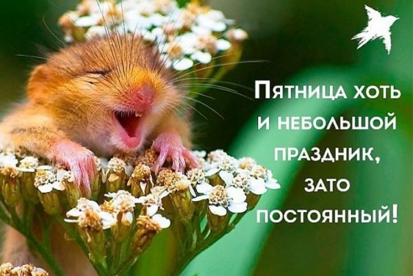 Настроение пятница