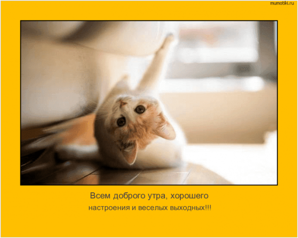 Позитивный настрой с утра