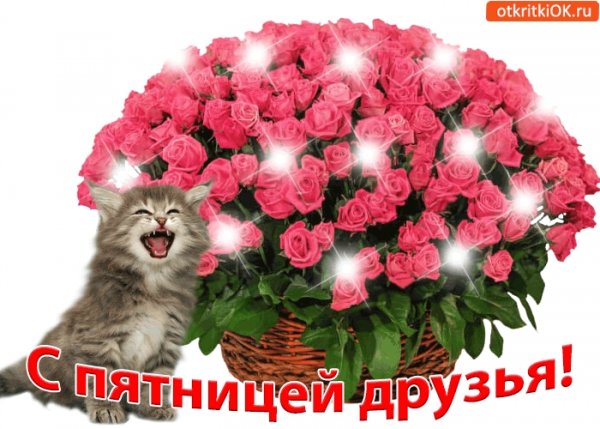 С пятницей хороших выходных