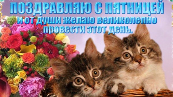 Открытки с пятницей