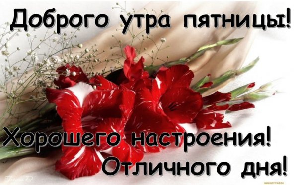 С добрый утром пчтниуа