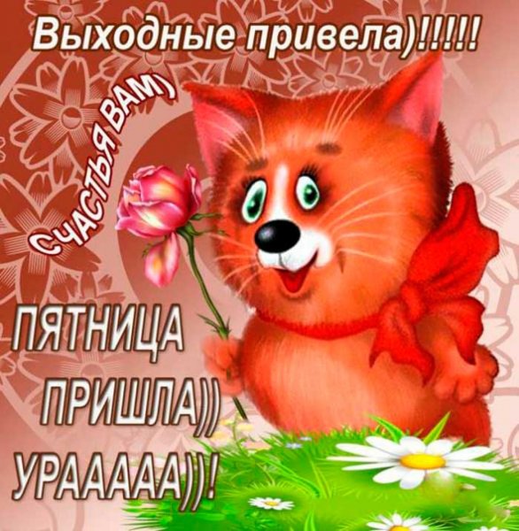 Хорошего пятничного дня и отличного настроения