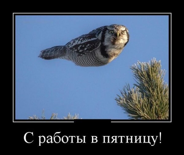 Пятница работа