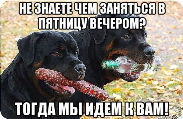 Вечер пятницы