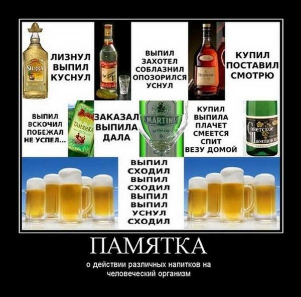 Приколы про алкоголь