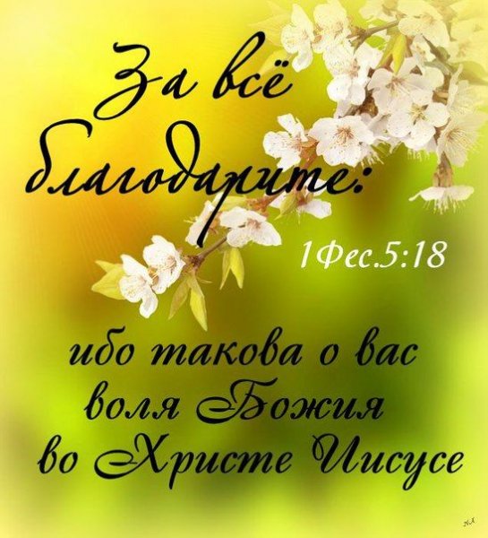 Открытки с Цитатами из Библии
