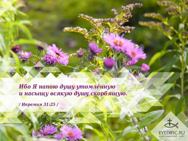 Христианские пожелания из Библии