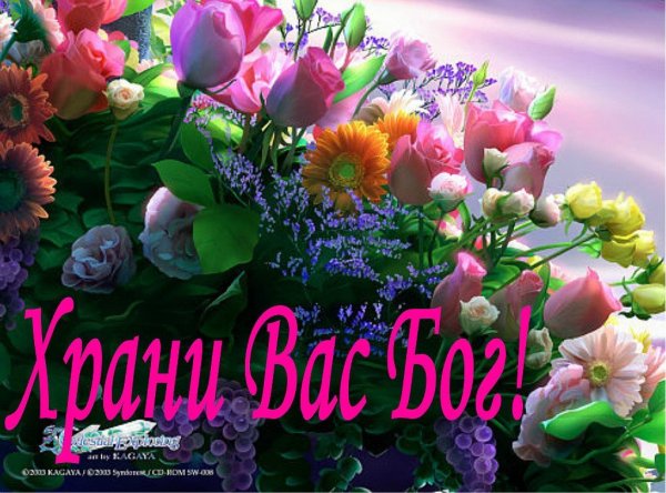 С благословенной пятницей любимый