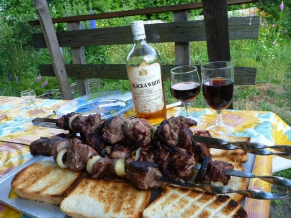Шашлыки на природе