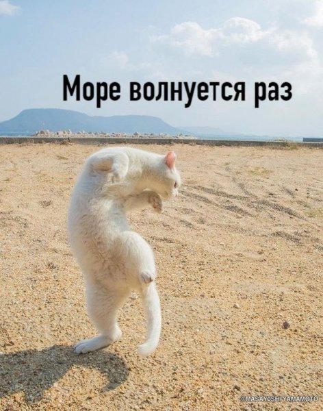 Пятница и отпуск картинки