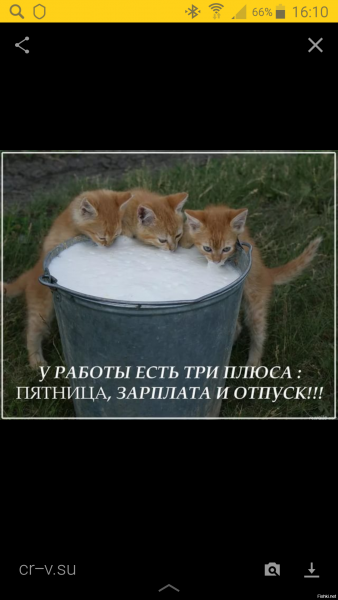 Последняя пятница года приколы