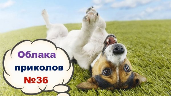 Долгожданная пятница картинки