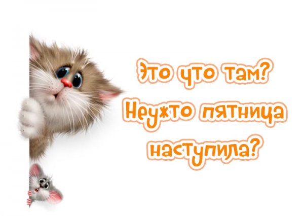 Вот и долгожданная пятница