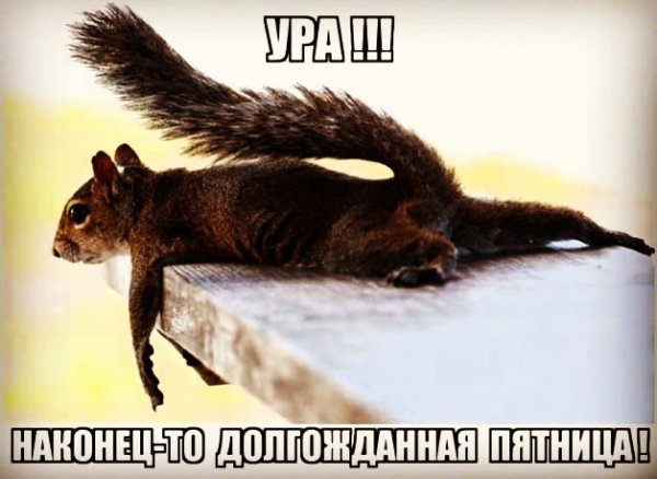 Наконец то пятница