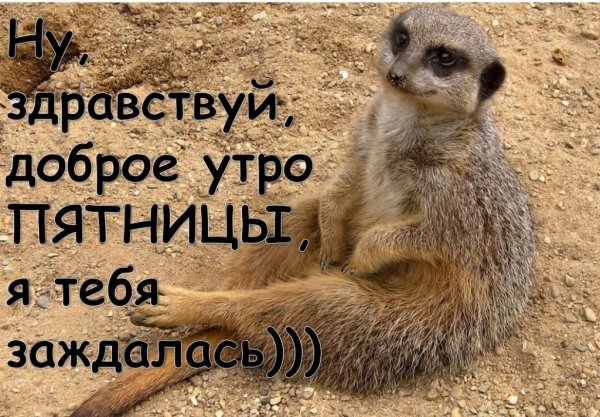 Доброе утро пятницы