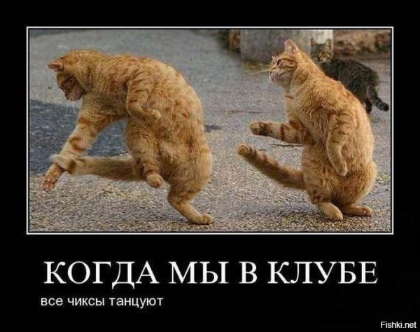 Танцуют все прикол
