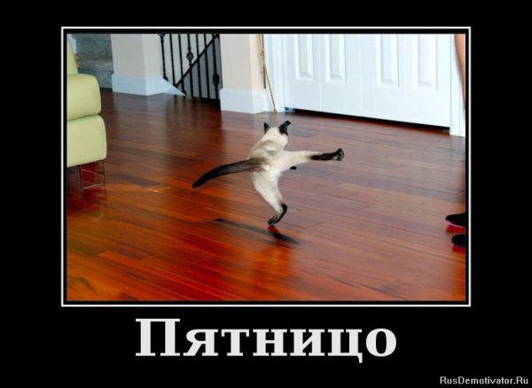 Пятница демотиваторы