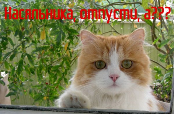 Пятница выходные на носу