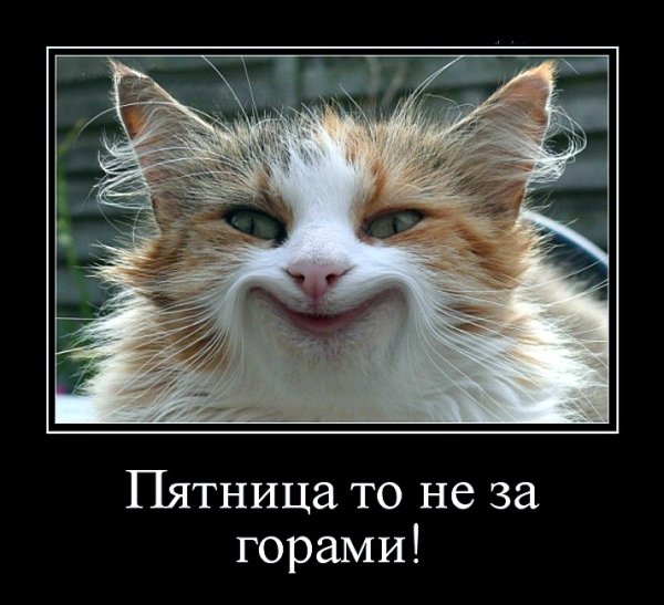 Четверг приколы