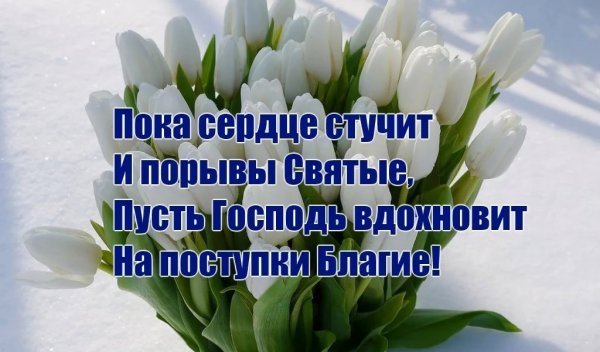 Доброе утро благословенного дня