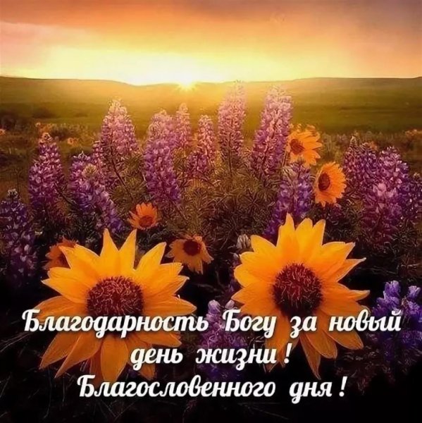 Доброго благословенного утра