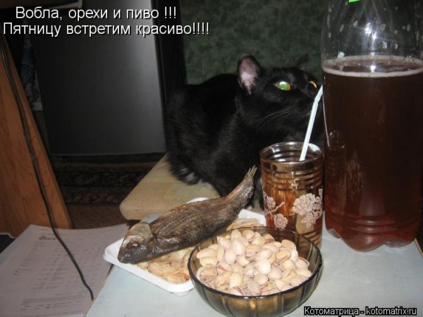 Приколы про выпить в пятницу