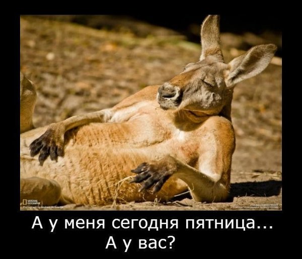 Пятница картинки с приколом