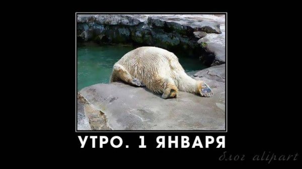 С утром 1 января