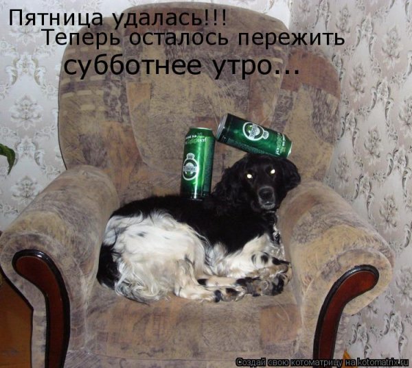 Вечер пятницы удался
