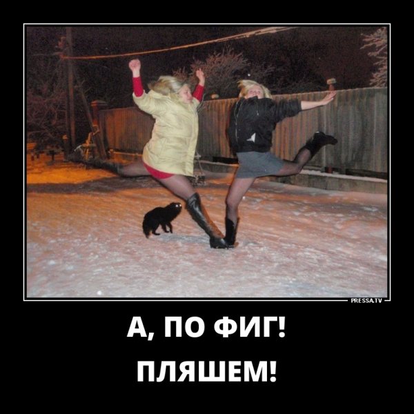 Елена Анохина мальчишник