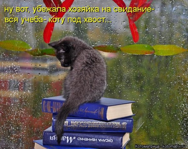 Открытки с дождливой пятницей