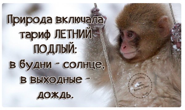 Статусы в картинках про выходные
