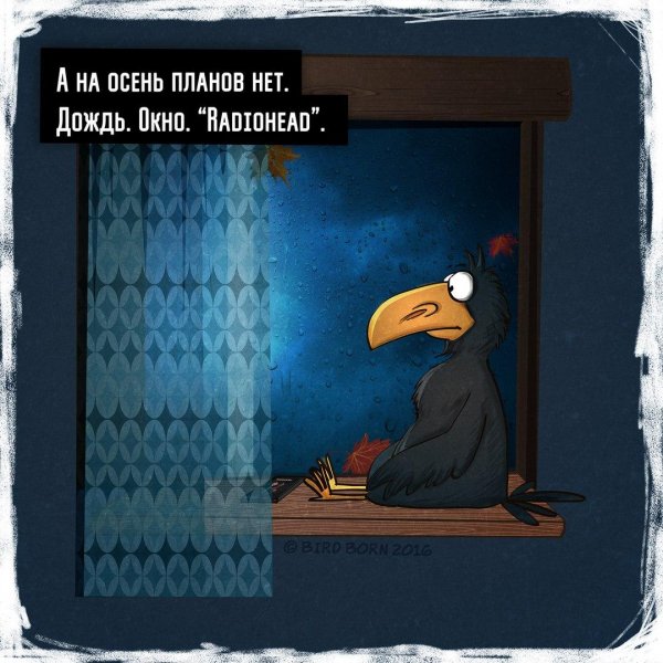 Приколы дождливой осени