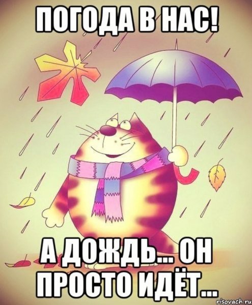 Плохая погода не повод для грусти