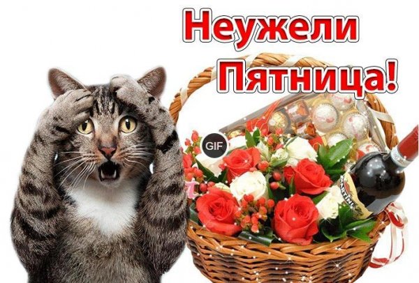 Поздравление с пятницей