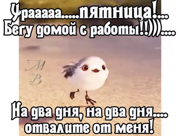 Пятница пора домой