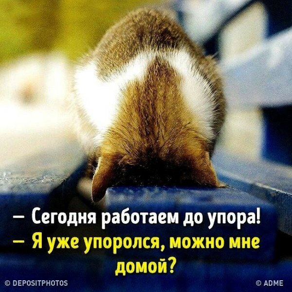 Работаем до упора я уже упоролся