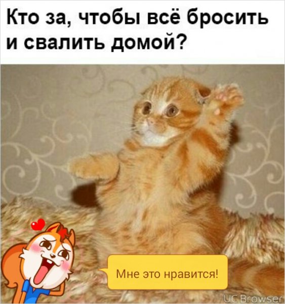 Скорее бы домой