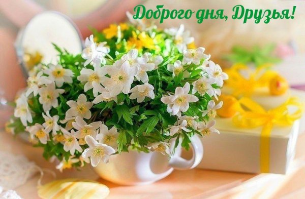 Доброго весеннего пятничного утра