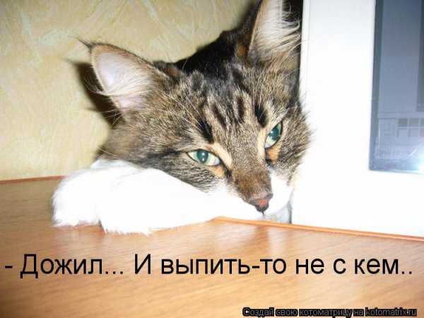 Выпить не с кем