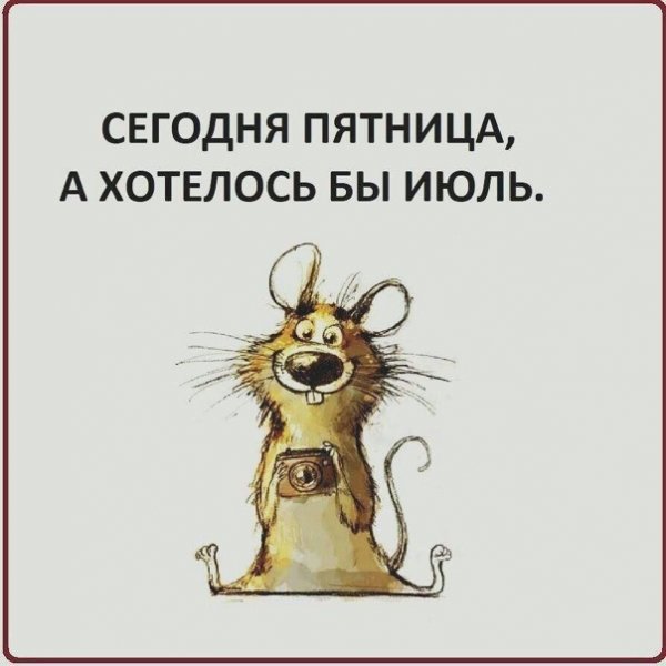 Пятница юмор