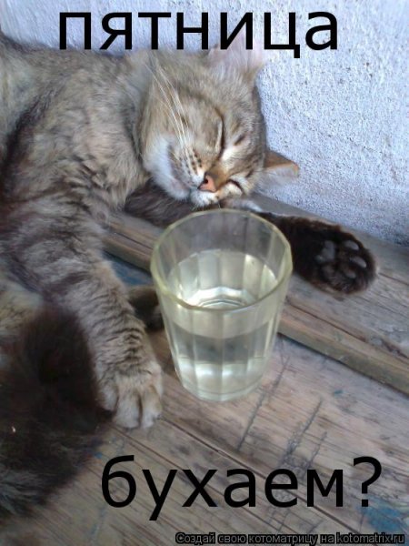 Пятница бухло