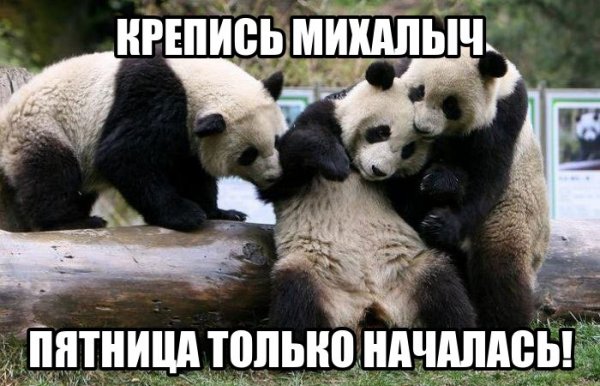 Пятница гуляем