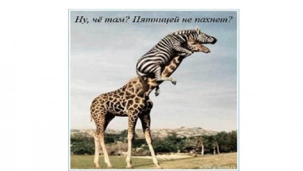 Пятницу не видно