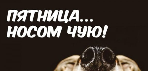 Чую пятница
