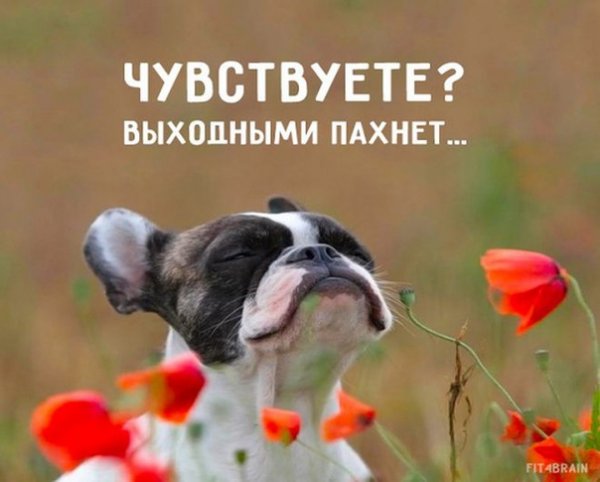Впереди выходные