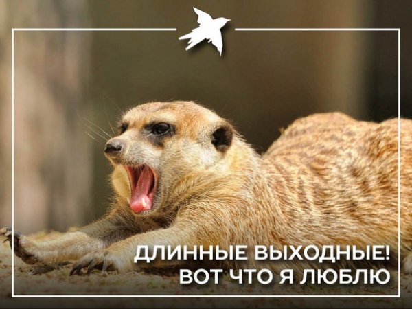 Впереди три дня выходных