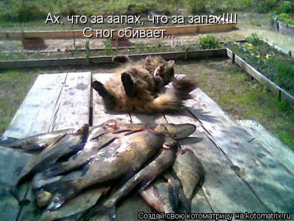 Неужели выходные